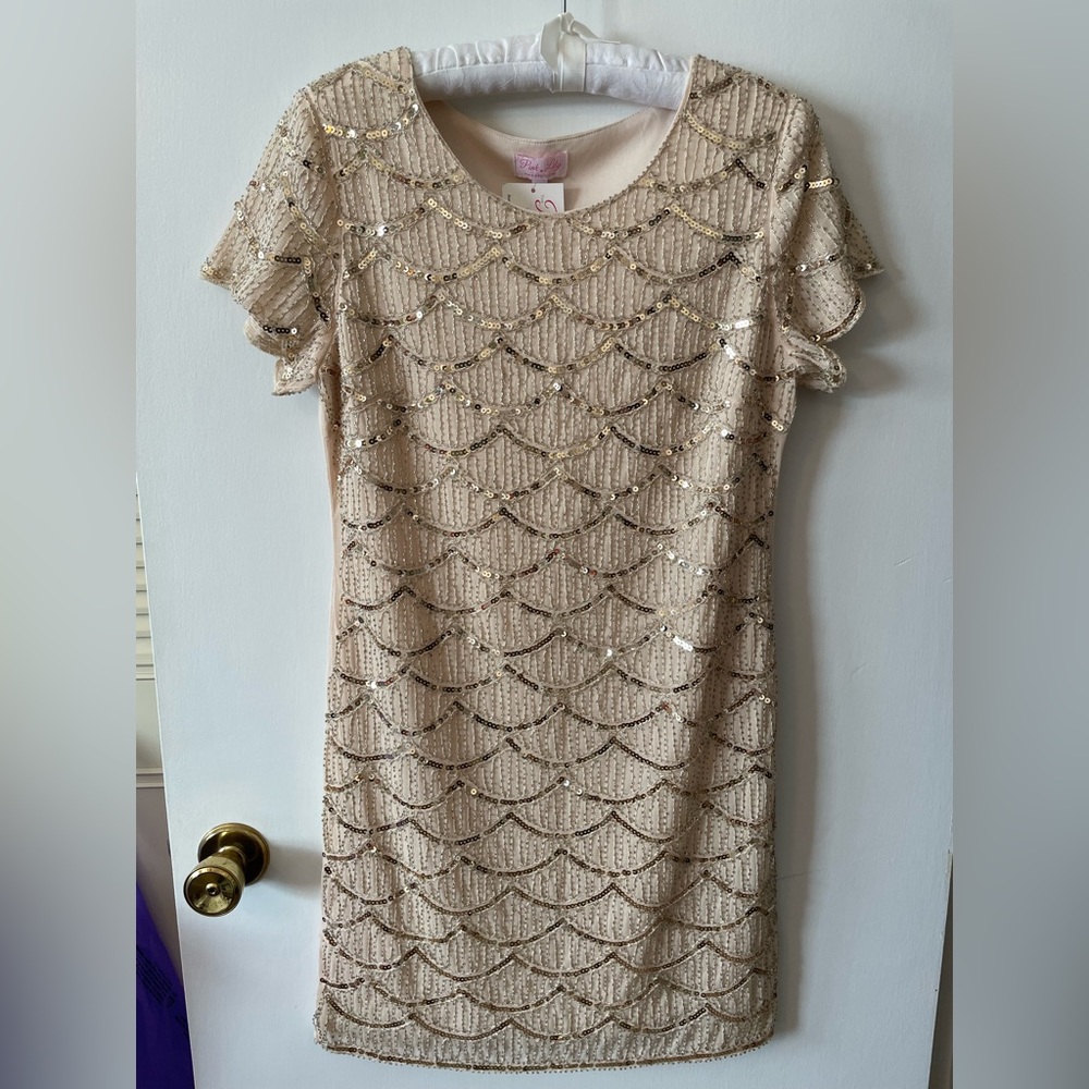 Pink Lily sequin beaded dress NWT